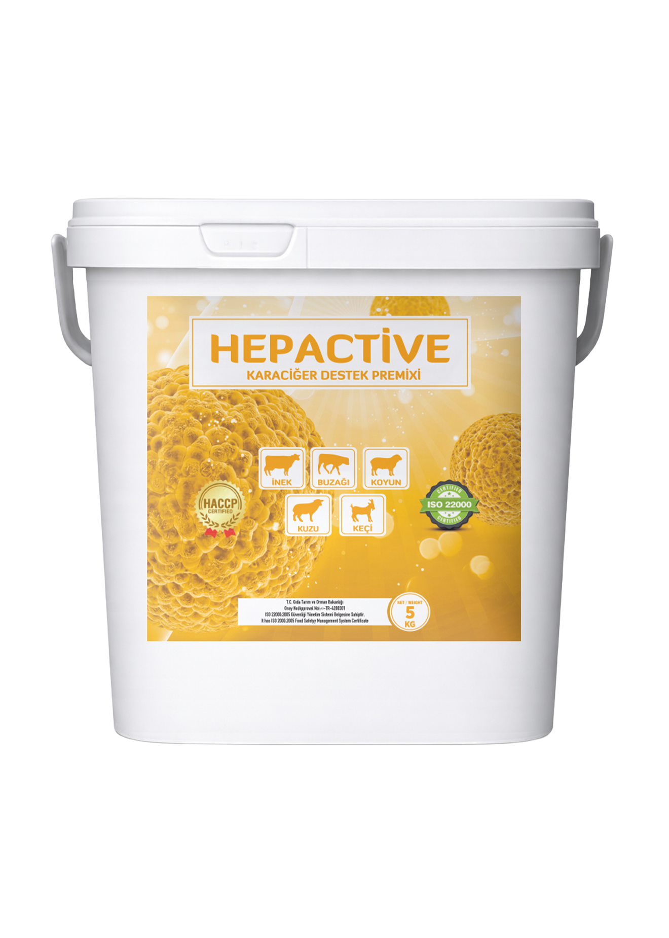 Hepactive